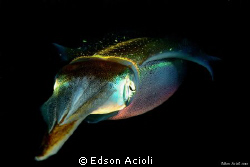 Nikon D90 with 60mm lens and flash two YS-120.
 by Edson Acioli 